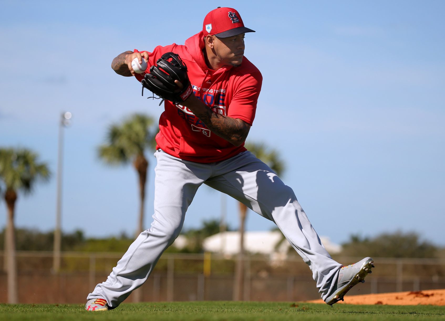 2019 Cardinals spring training